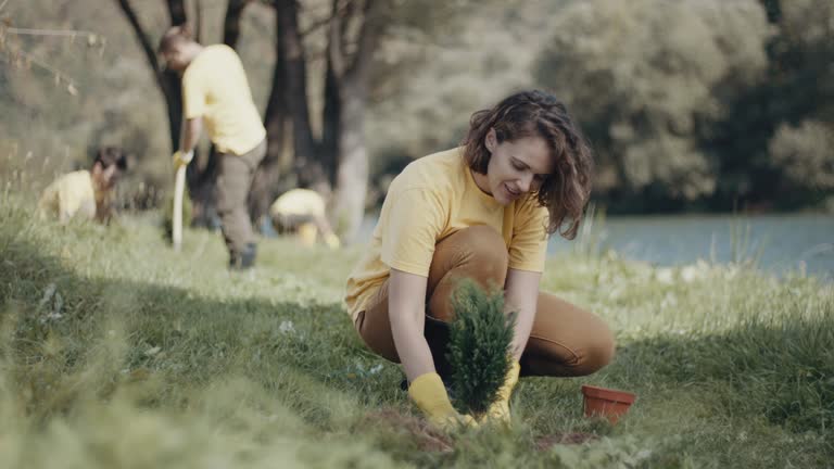 Best Soil Testing and Treatment  in Clinton, WI